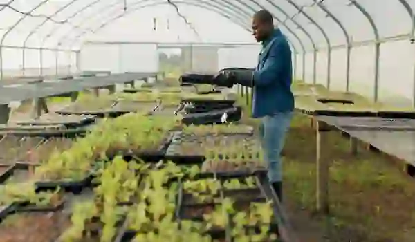 farmers using solar-powered irrigation systems